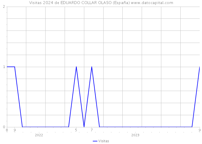 Visitas 2024 de EDUARDO COLLAR OLASO (España) 