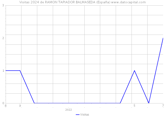 Visitas 2024 de RAMON TAPIADOR BALMASEDA (España) 