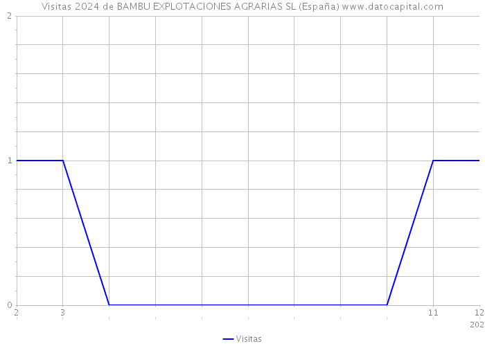 Visitas 2024 de BAMBU EXPLOTACIONES AGRARIAS SL (España) 