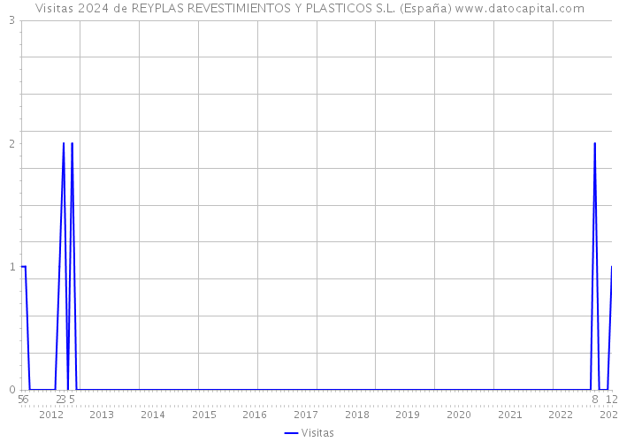 Visitas 2024 de REYPLAS REVESTIMIENTOS Y PLASTICOS S.L. (España) 