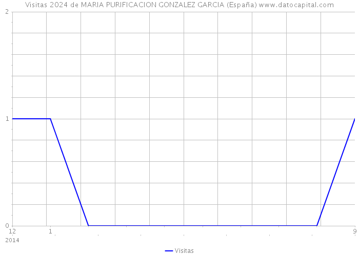 Visitas 2024 de MARIA PURIFICACION GONZALEZ GARCIA (España) 