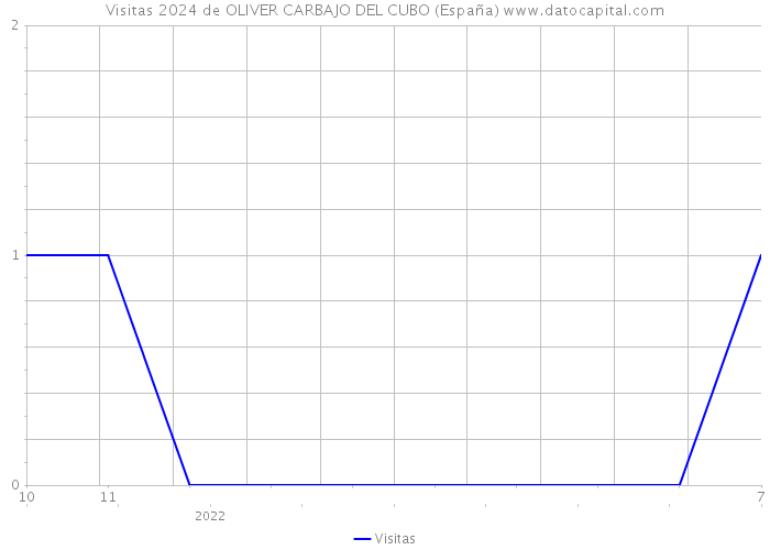 Visitas 2024 de OLIVER CARBAJO DEL CUBO (España) 
