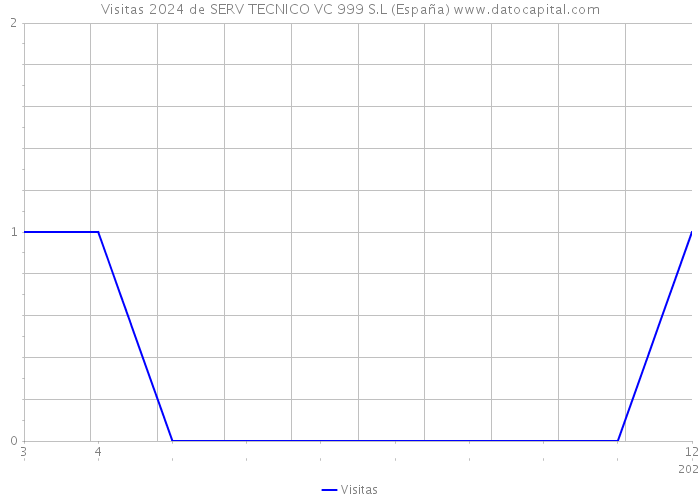Visitas 2024 de SERV TECNICO VC 999 S.L (España) 