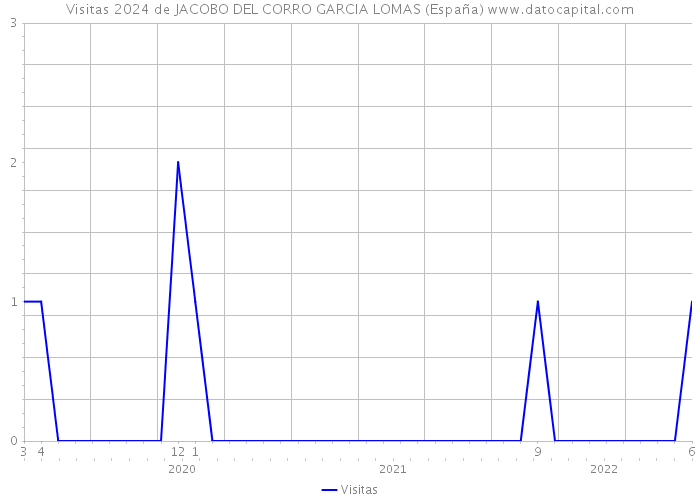 Visitas 2024 de JACOBO DEL CORRO GARCIA LOMAS (España) 