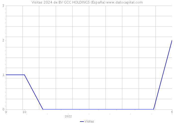 Visitas 2024 de BV GCC HOLDINGS (España) 
