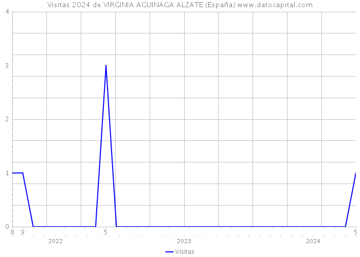 Visitas 2024 de VIRGINIA AGUINAGA ALZATE (España) 