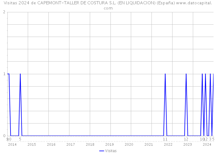 Visitas 2024 de CAPEMONT-TALLER DE COSTURA S.L. (EN LIQUIDACION) (España) 