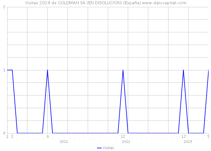 Visitas 2024 de GOLDMAN SA (EN DISOLUCION) (España) 