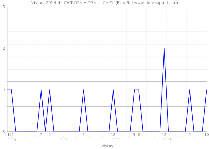 Visitas 2024 de CICROSA HIDRAULICA SL (España) 