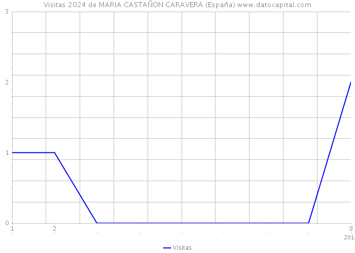 Visitas 2024 de MARIA CASTAÑON CARAVERA (España) 