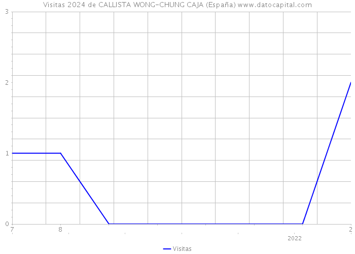 Visitas 2024 de CALLISTA WONG-CHUNG CAJA (España) 