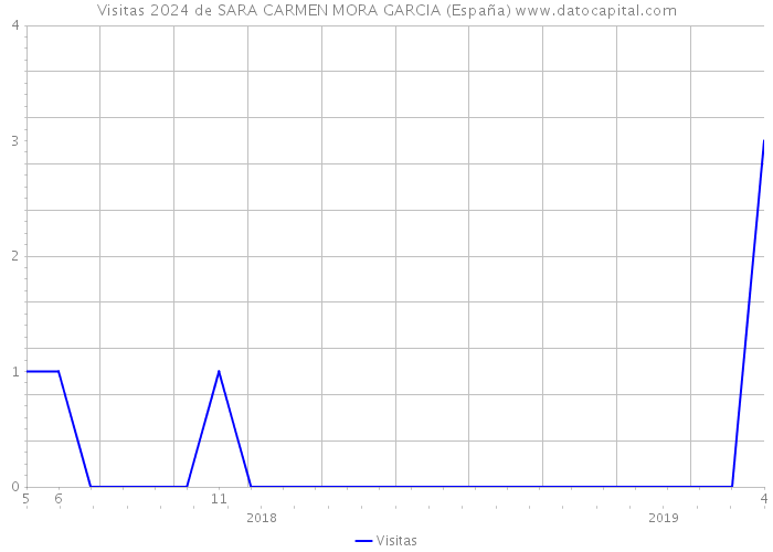 Visitas 2024 de SARA CARMEN MORA GARCIA (España) 