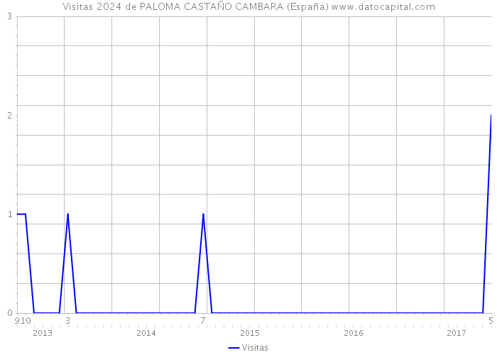 Visitas 2024 de PALOMA CASTAÑO CAMBARA (España) 