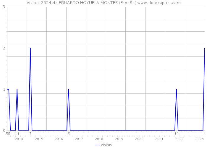 Visitas 2024 de EDUARDO HOYUELA MONTES (España) 
