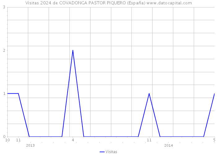 Visitas 2024 de COVADONGA PASTOR PIQUERO (España) 