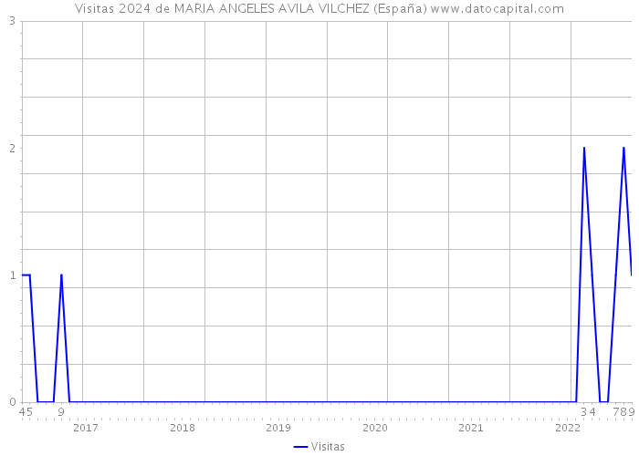 Visitas 2024 de MARIA ANGELES AVILA VILCHEZ (España) 