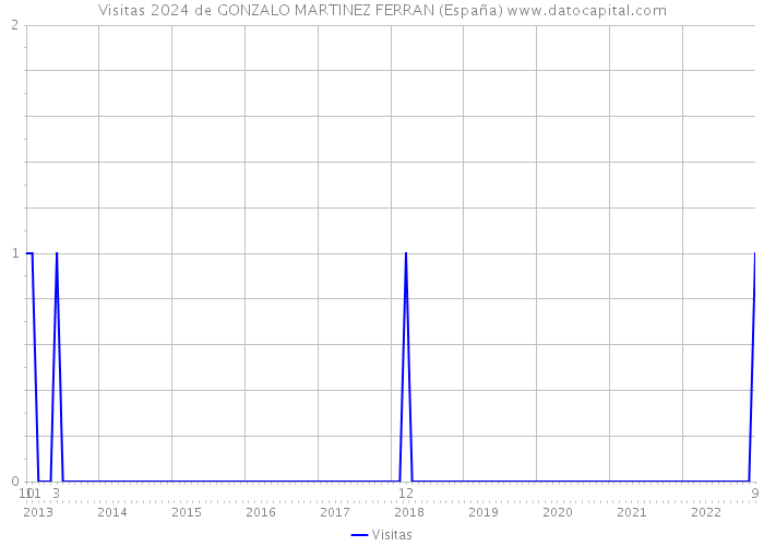 Visitas 2024 de GONZALO MARTINEZ FERRAN (España) 