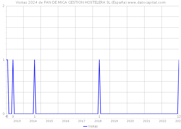Visitas 2024 de PAN DE MIGA GESTION HOSTELERA SL (España) 