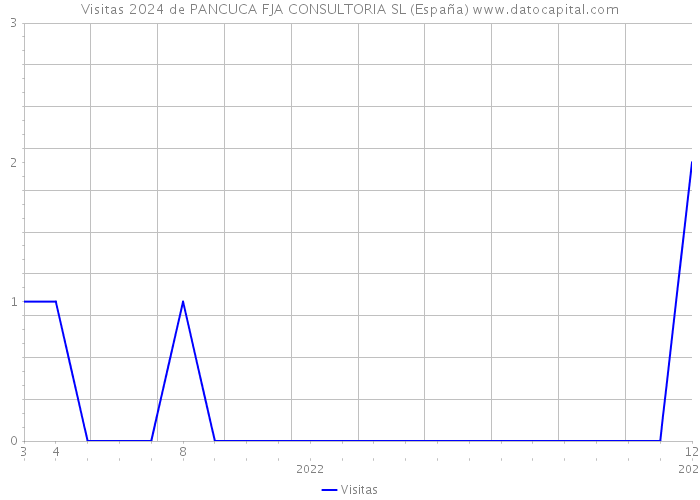 Visitas 2024 de PANCUCA FJA CONSULTORIA SL (España) 