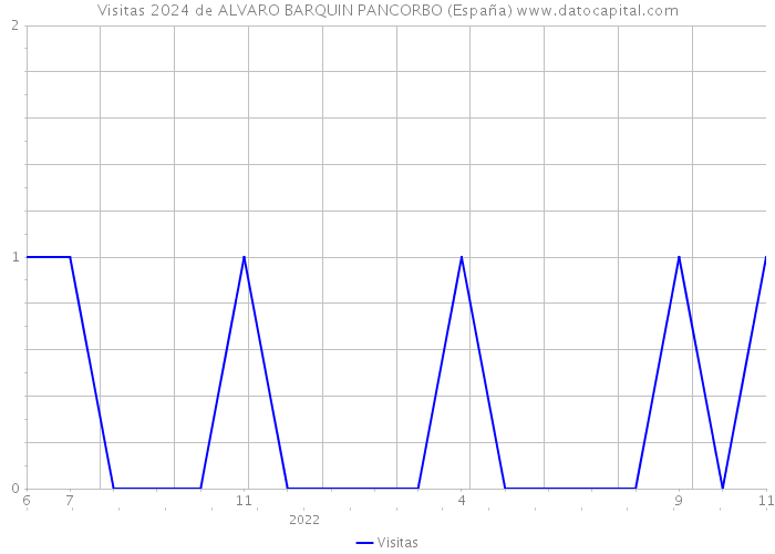 Visitas 2024 de ALVARO BARQUIN PANCORBO (España) 