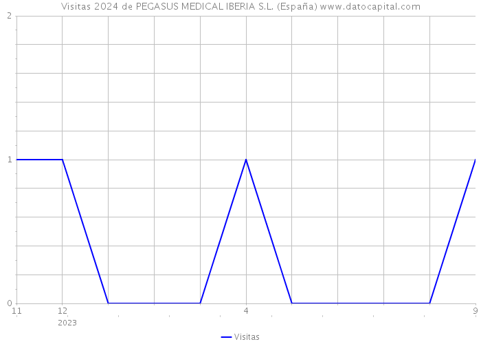 Visitas 2024 de PEGASUS MEDICAL IBERIA S.L. (España) 