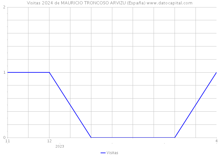 Visitas 2024 de MAURICIO TRONCOSO ARVIZU (España) 