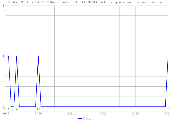 Visitas 2024 de CARMEN BARRERA DEL SALVADOR MARIA DEL (España) 