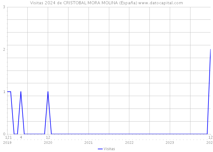 Visitas 2024 de CRISTOBAL MORA MOLINA (España) 