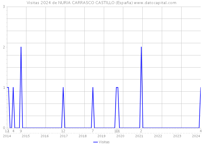 Visitas 2024 de NURIA CARRASCO CASTILLO (España) 