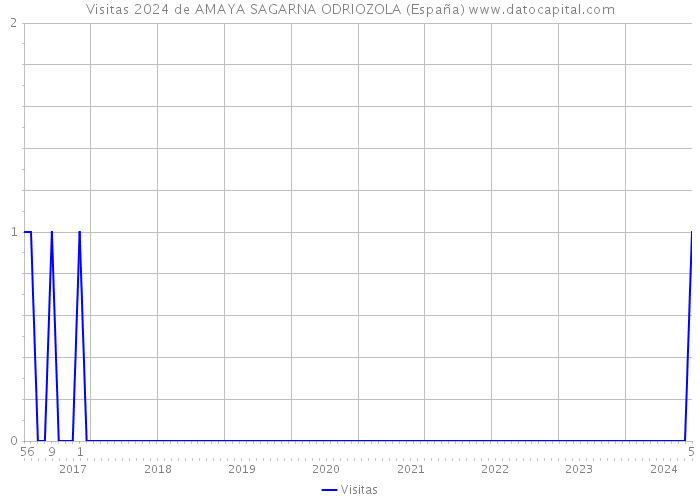 Visitas 2024 de AMAYA SAGARNA ODRIOZOLA (España) 
