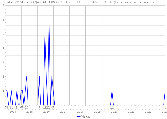 Visitas 2024 de BORJA CALHEIROS MENEZES FLORES FRANCISCO DE (España) 