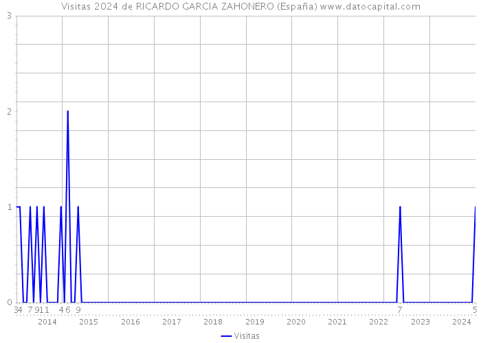 Visitas 2024 de RICARDO GARCIA ZAHONERO (España) 