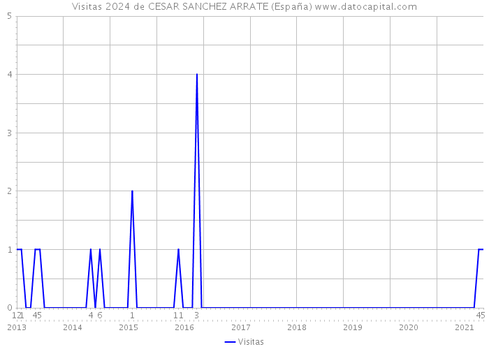 Visitas 2024 de CESAR SANCHEZ ARRATE (España) 