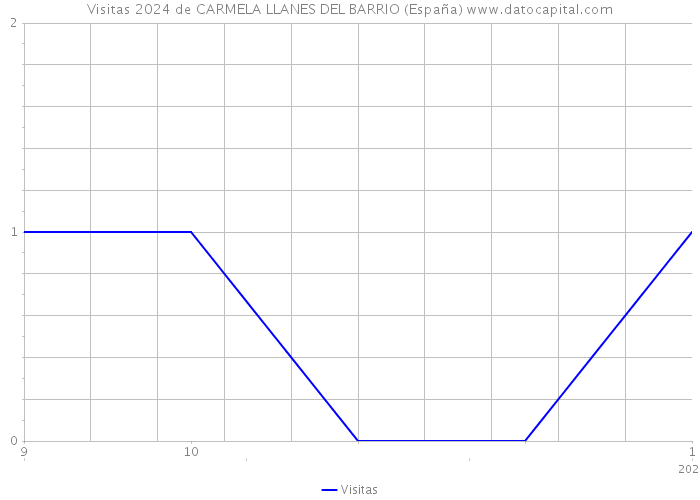 Visitas 2024 de CARMELA LLANES DEL BARRIO (España) 