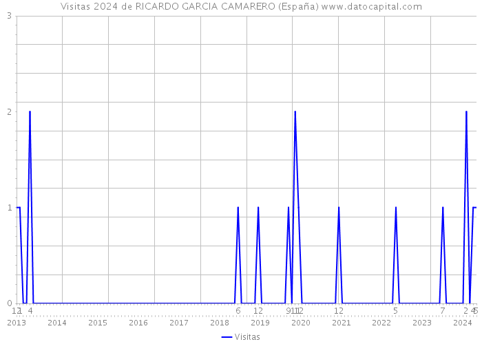 Visitas 2024 de RICARDO GARCIA CAMARERO (España) 