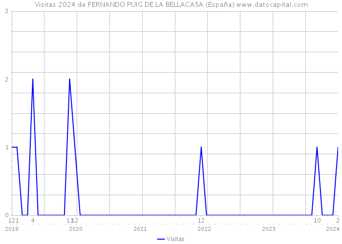Visitas 2024 de FERNANDO PUIG DE LA BELLACASA (España) 