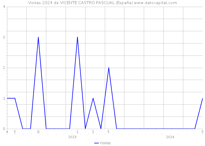 Visitas 2024 de VICENTE CASTRO PASCUAL (España) 