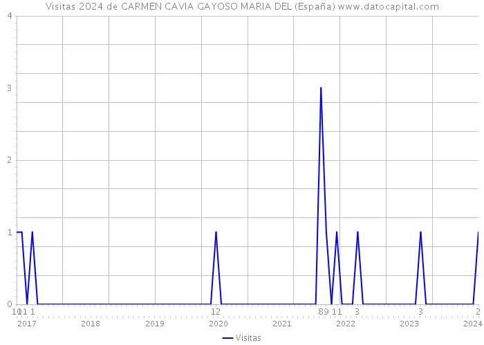 Visitas 2024 de CARMEN CAVIA GAYOSO MARIA DEL (España) 