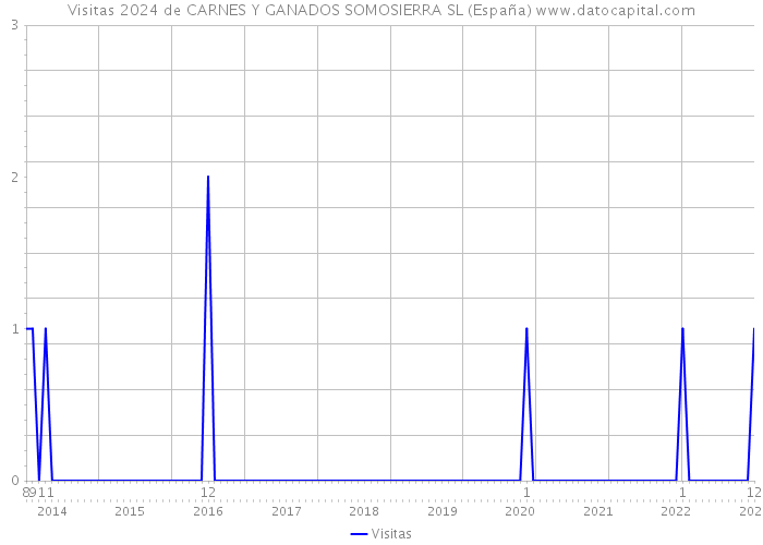 Visitas 2024 de CARNES Y GANADOS SOMOSIERRA SL (España) 