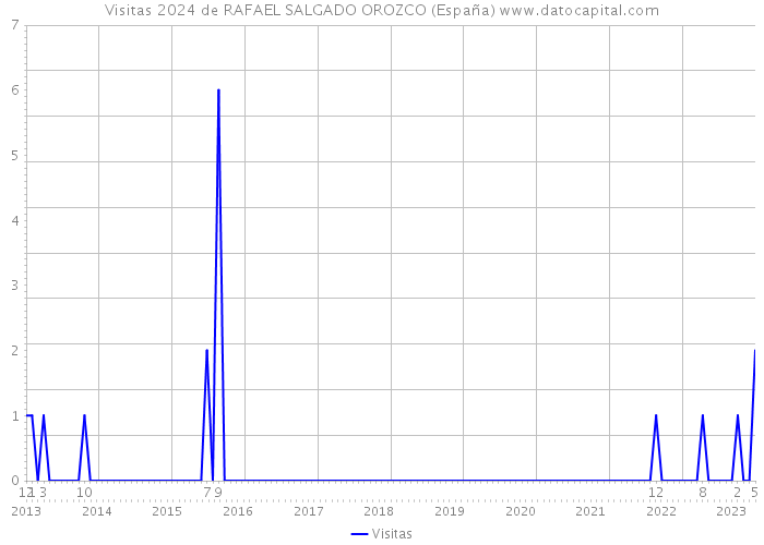 Visitas 2024 de RAFAEL SALGADO OROZCO (España) 