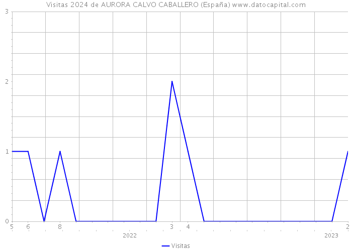 Visitas 2024 de AURORA CALVO CABALLERO (España) 