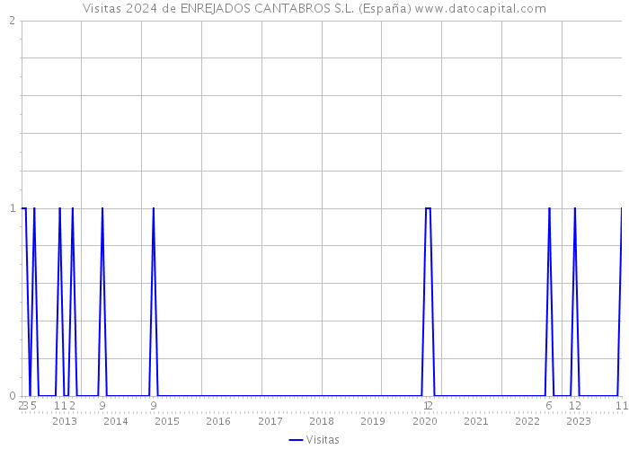 Visitas 2024 de ENREJADOS CANTABROS S.L. (España) 