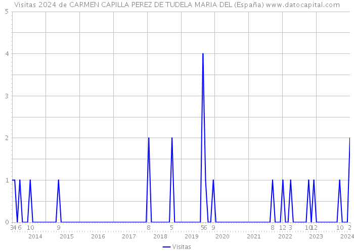 Visitas 2024 de CARMEN CAPILLA PEREZ DE TUDELA MARIA DEL (España) 
