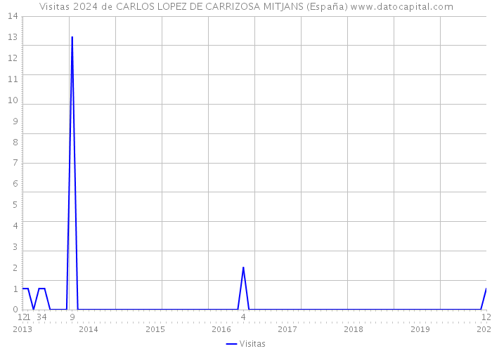 Visitas 2024 de CARLOS LOPEZ DE CARRIZOSA MITJANS (España) 