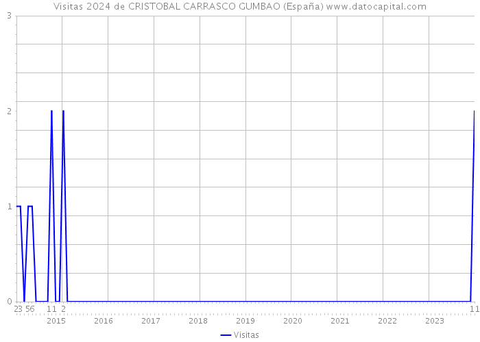 Visitas 2024 de CRISTOBAL CARRASCO GUMBAO (España) 