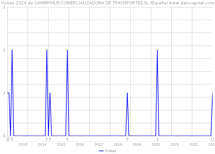 Visitas 2024 de GAMBRINUS COMERCIALIZADORA DE TRANSPORTES SL (España) 