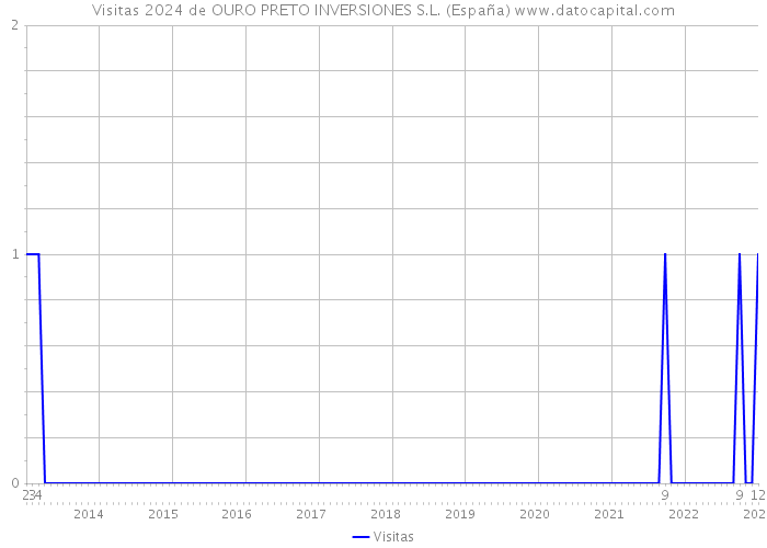 Visitas 2024 de OURO PRETO INVERSIONES S.L. (España) 