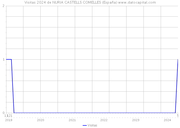 Visitas 2024 de NURIA CASTELLS COMELLES (España) 