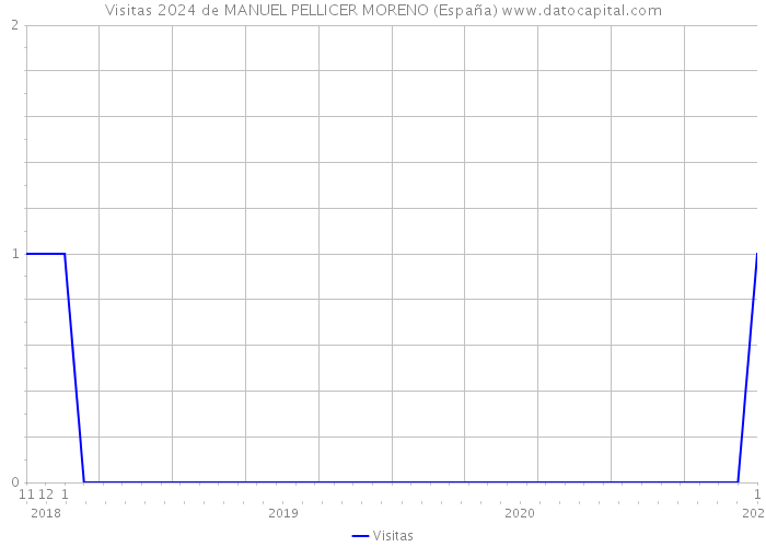 Visitas 2024 de MANUEL PELLICER MORENO (España) 