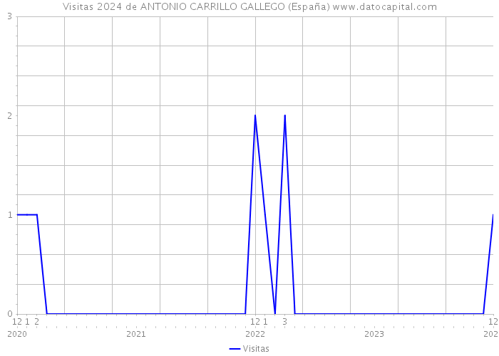 Visitas 2024 de ANTONIO CARRILLO GALLEGO (España) 